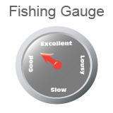Fishing Gauge Indicating Fishing is Between Good and Excellent